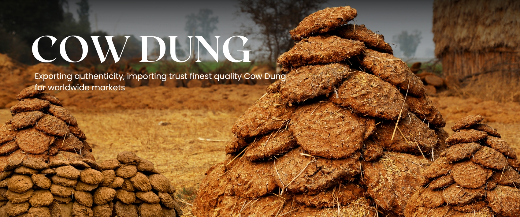 Banner Image-best business providers